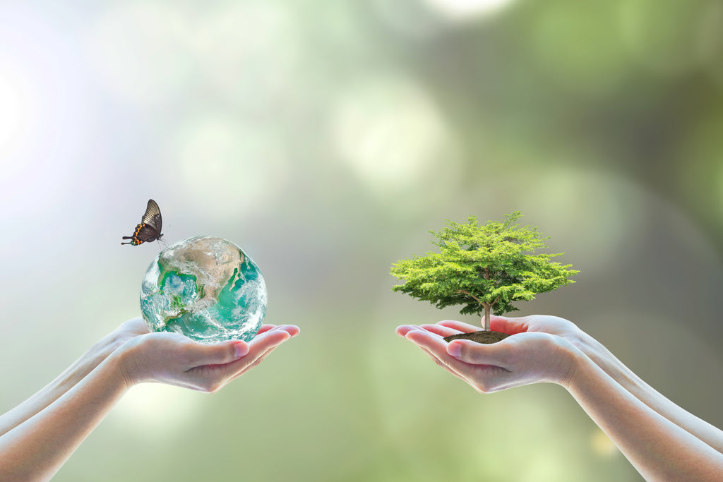 Our commitment to ship plastic-free and maintain sustainability