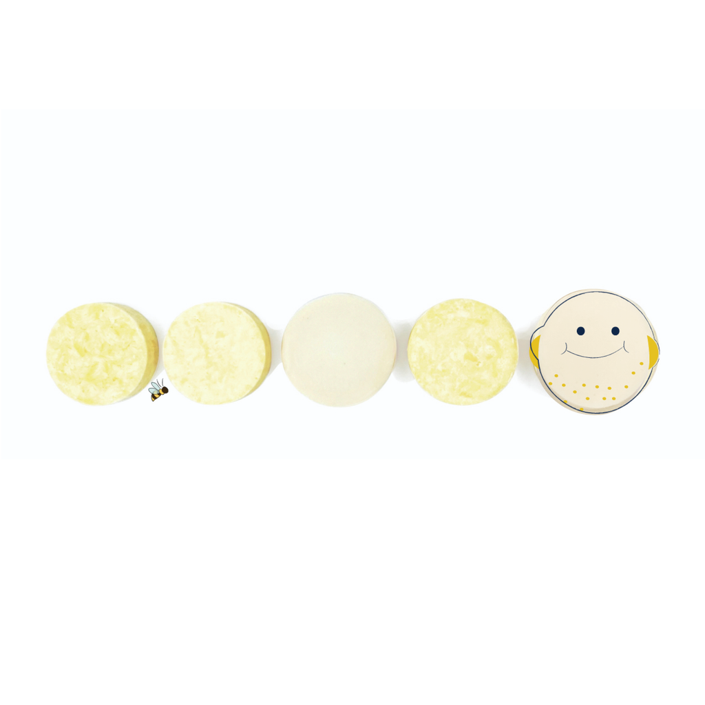 eco-friendly shampoo bars for everyone